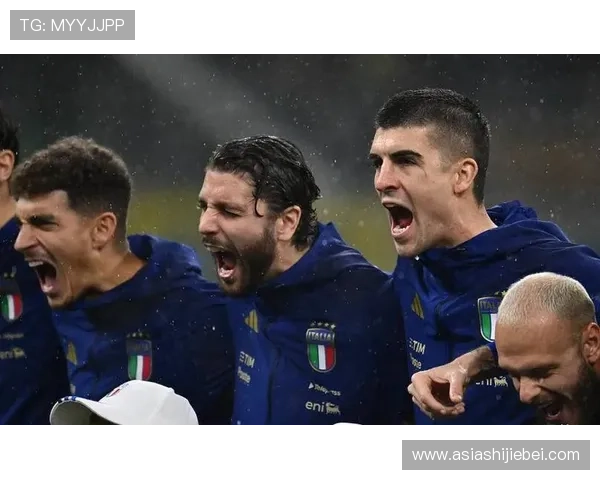 意大利未能晋级2026世界杯的主要原因及应对措施