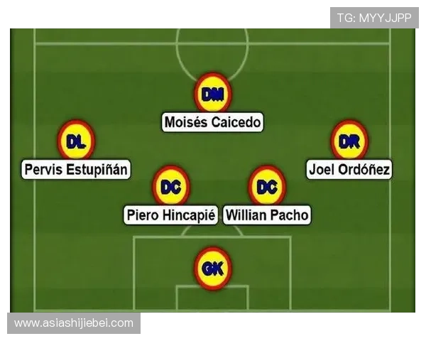 阿根廷世界杯：主教练战术布局与球队战术调整分析