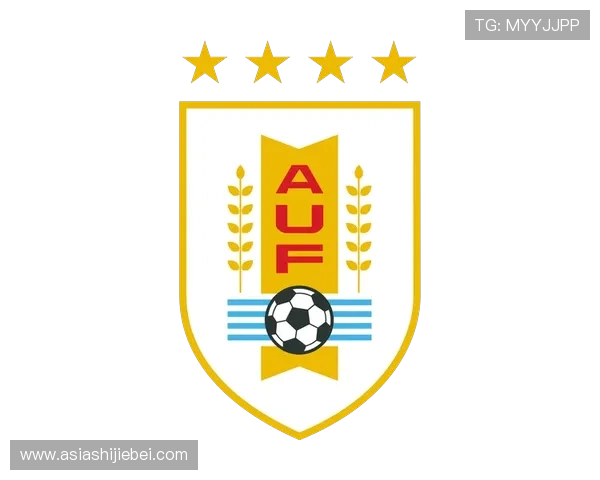 乌拉圭世界杯参赛队伍详细介绍及比赛亮点盘点