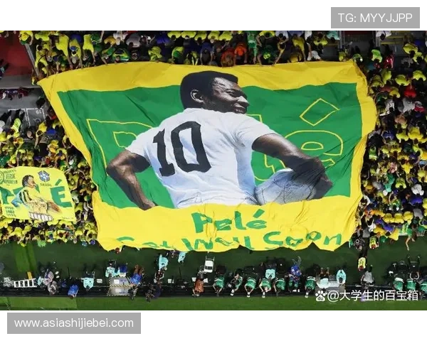 世界杯历史上参赛国家最多的年份是哪一年，探讨全球足球发展的重要节点